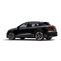 Akrapovic Evolution Line (Titanium) Audi RS Q8 (4M) - OPF/GPF-ypigp.png